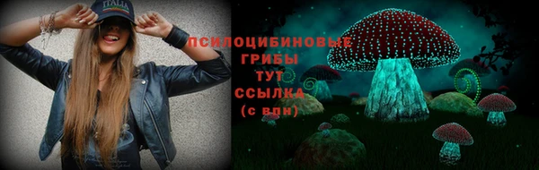 mix Белокуриха
