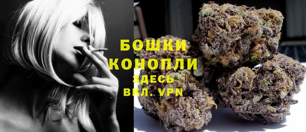 mix Белокуриха