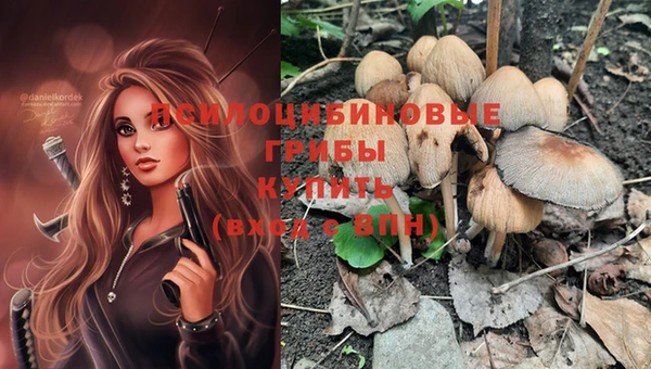 mix Белокуриха