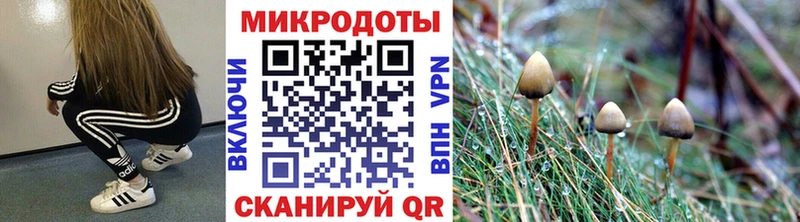 Галлюциногенные грибы мицелий  закладки  Облучье 